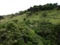 Voo do tucano 1