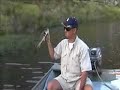 Catching Bass on Buzz Baits