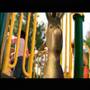 Childhood Obesity Prevention- featuring Shrek (spanish, 30s)