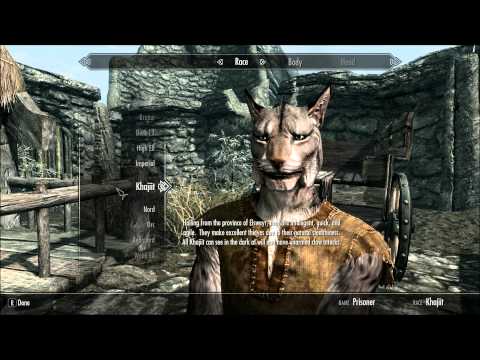 how to decide what race to be in skyrim