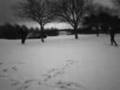 SnöBolls Krig Ö-Ljungby