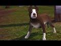 Die Sims 3 Haustiere