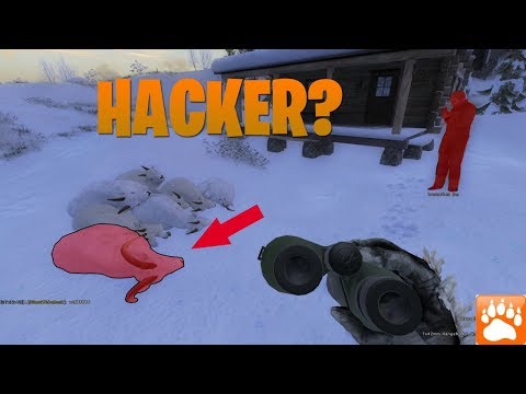 the hunter call of the wild pc commands the hunter call of the wild pc commands