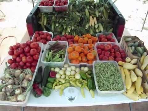 how to harvest vegetables from a garden