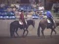 A Lucky Decision - AQHA Stallion A Lucky Decision - AQHA Stallion