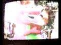 RENZO WATCHIN BARNEY RENZO WATCHIN BARNEY