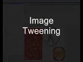 Flash 8 Pro -- Tracing & Shape Tweening Images