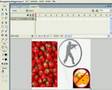 Flash 8 Pro    Tracing & Shape Tweening Images