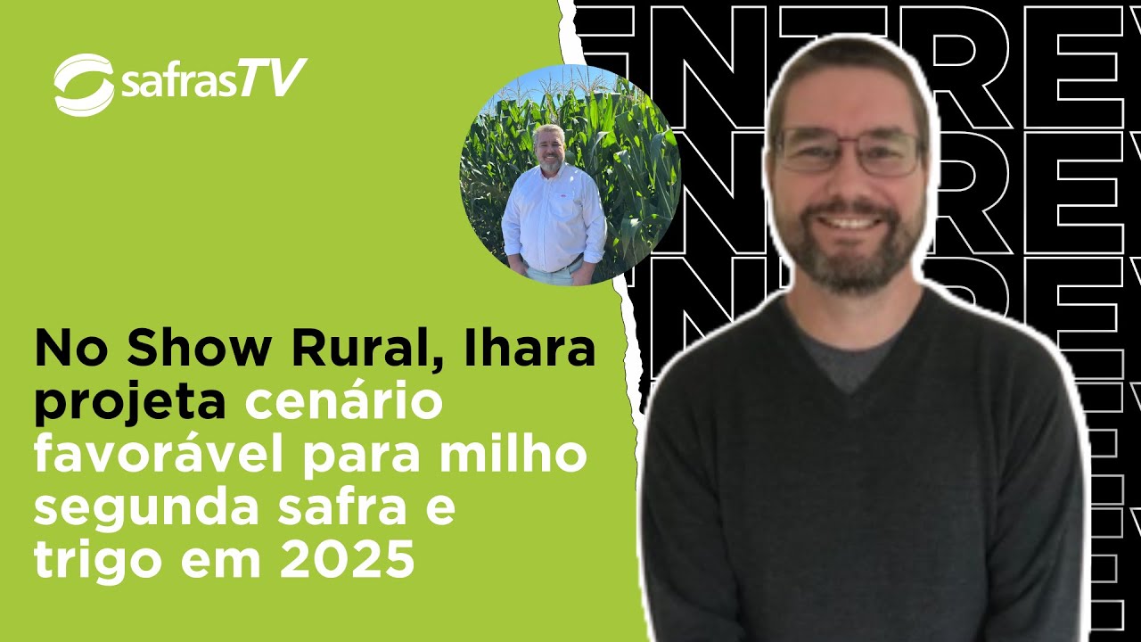 Ihara vê cenário muito positivo para trigo e milho segunda safra em 2025