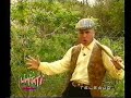 Signor Calogero - La macchina nuova - Limitati Network Signor Calogero - La macchina nuova - Limitati Network