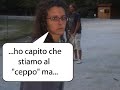 ceppo ceppo