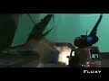 Fluxy, Shyre, Phurion Awesome Montage Compilation # 1 Fluxy, Shyre, Phurion Awesome Montage Compilation # 1