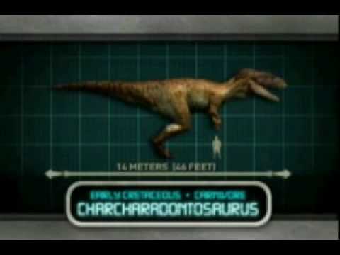 Carcharodontosaurus
