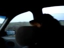 Dogbook Movie: Car Ride