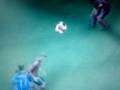 Geiles Tor in Fifa 08!!!