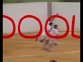 cd albaida ascenso a 1º provincial  parte 1 