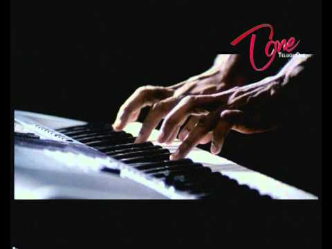 nagarjuna, trisha, srihari, charmi, priyamani, anushka, rohit, ali, sunil, dharmavarapu, devisriprasad, janeliya, srinivas, shiyajishinde, jayaprakashreddy