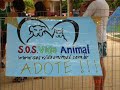 10ª Campanha de Adoção do SOS Vida Animal