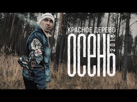 Красное Дерево - Осень 2018