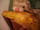 forgety eatting a bananna