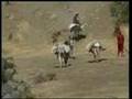 Iranian-army-crossed
