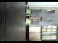 videos de Pendejoo_starr.3gp