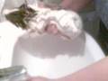h�daverdi y�kan�yor