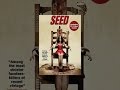 Seed