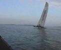 Extreme Catamaran Sailing (Stars & Stripes)