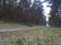 See Video