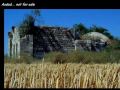 palestien/isreal nature