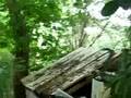 videos de Posestvo Richarda2