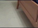 Mike and Frank playing