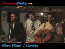 Chistosa Colombians y Borrachos Colombians