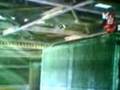 videos de emo report 2