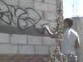 pintas en puebla renck