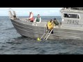 Prince William Sound Field Experiment - Slocum glider