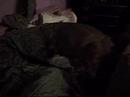 Cissy (and Andy)