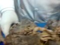 MOV04475