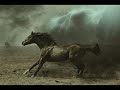 دحيه ناار 2013