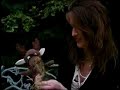 Imogen Heap: vBlog #6
