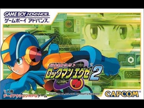 動画