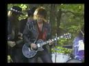 Whammy Guitar by Terry Helton on Derringer\