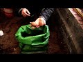 how to grow potatoes in potato planter bags