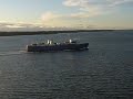 Laiva