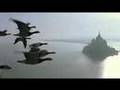 Geese - from winged migration