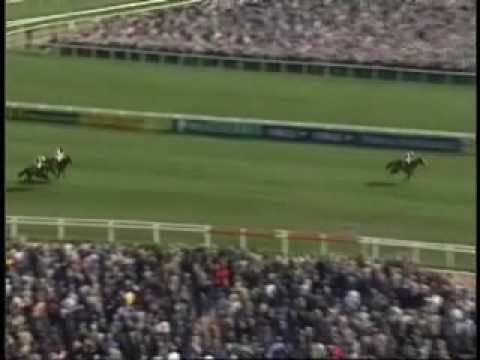 cheltenham gold cup