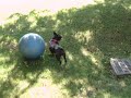 George likes to play yoga ball soccer pt. 3