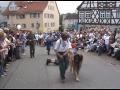 Leonberger auf dem Bietigheimer Pferdemarkt