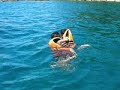 @SHARK POINT, PULAU PERHENTIAN